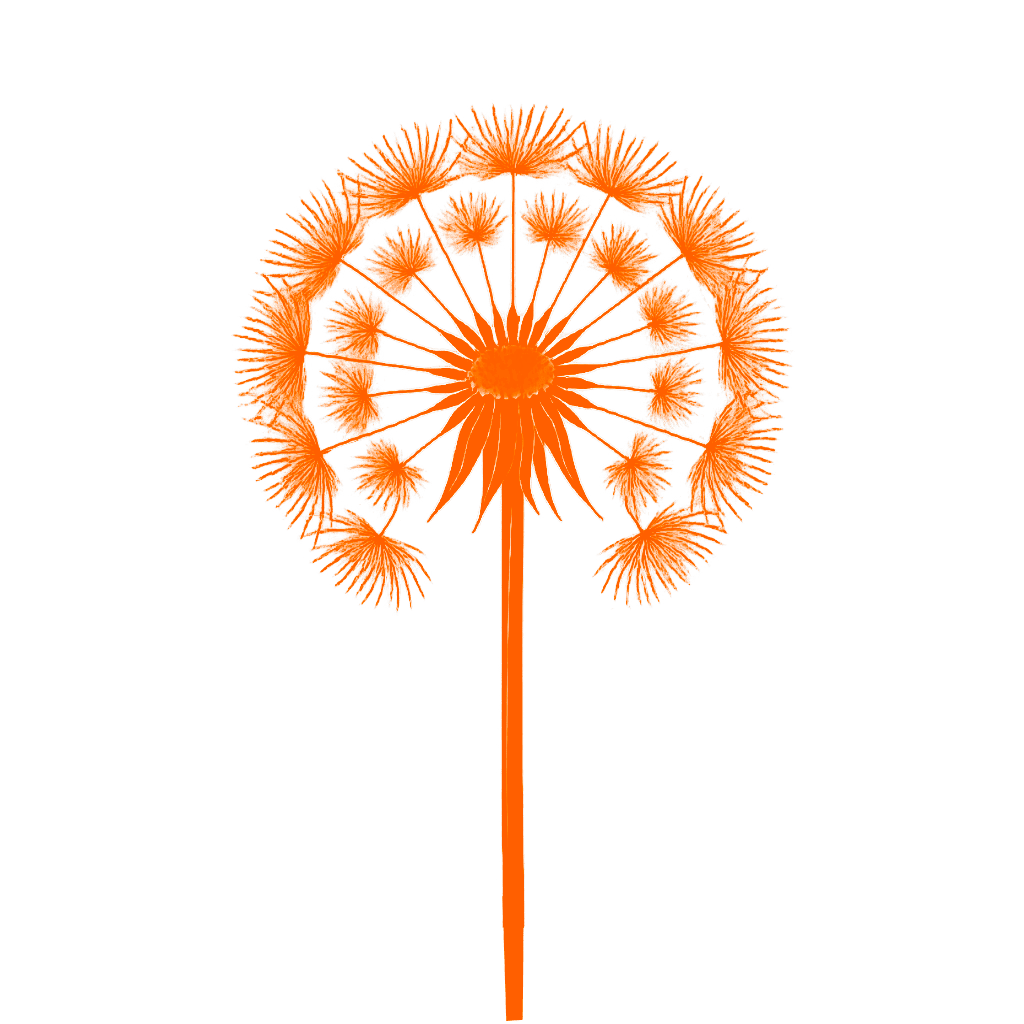 dandelion