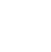 Icon E